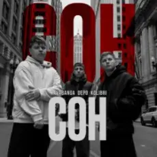 Обложка: kavabanga Depo kolibri - Сон