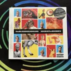 Обложка: Bloodhound gang - Along Comes Mary