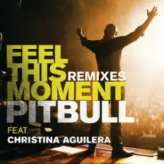 Обложка: Pitbull & Christina Aguilera - Feel This Moment (Riddler & Reid Stefan Club Mix)