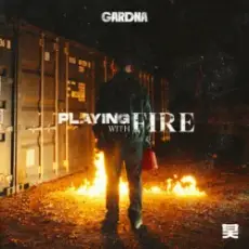 Обложка: Gardna – Playing With Fire