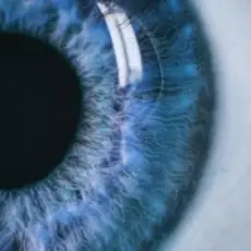 Обложка: Vibfy – Lines Fade Away