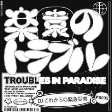 Обложка: DJ これからの緊急災害 - Troubles in Paradise (Original Mix)