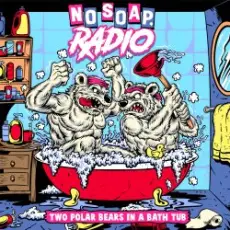 Обложка: No Soap Radio - Rotten Tulip