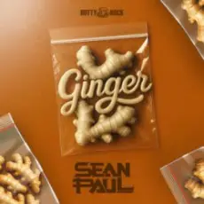 Обложка: Sean Paul - Ginger
