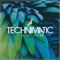Обложка: Technimatic - Not Far To Go (Mixed)