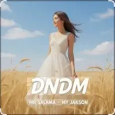 Обложка: Mr Salama, DNDM – My Jakson