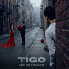 Обложка: TIGO - Не оценил