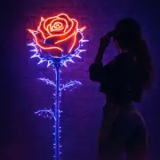 Обложка: MELIN - Колючка