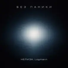 Обложка: НЕЛИЗА & Logmarin - Без паники