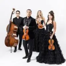Обложка: The String Quartet - Money
