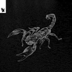 Обложка: Ship Wrek & Datti - Animal