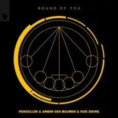 Обложка: Pendulum & Armin van Buuren & Rob Swire - Sound of You