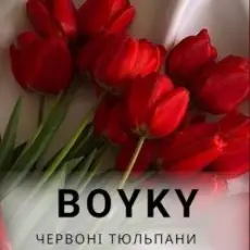Обложка: Бойки – Червоні тюльпани