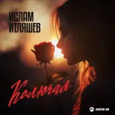 Обложка: Ислам Итляшев – Колючая