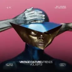 Обложка: Vintage Culture & Volkoder - Give It to Me