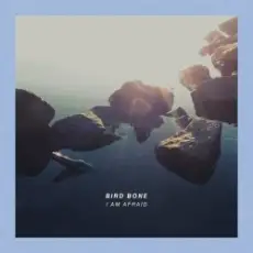 Обложка: Bird Bone - Knife For My Wife