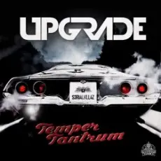 Обложка: Upgrade - Blow