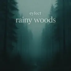 Обложка: eyfect - rainy woods