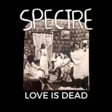 Обложка: Spectre - Hedgamez