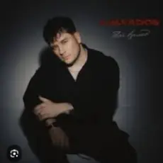 Обложка: KALVADOS - Твой взгляд