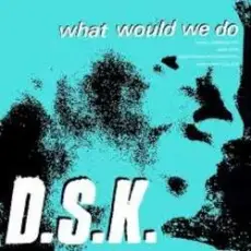 Обложка: DSK - What Would We Do (Original Mix)