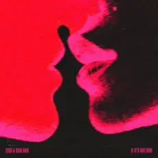 Обложка: Zerb & Rita Ora - If It’s Not Love