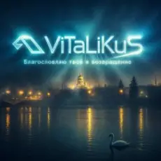 Обложка: ViTaLiKuS - Благословляю твоё я возвращение