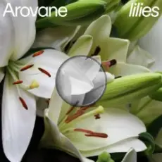Обложка: Arovane – Pink Lilies