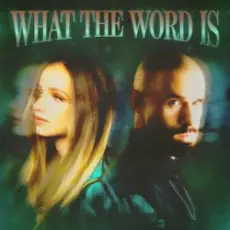 Обложка: Jackie Hollander & Malóne & Baby Bash - What The Word Is