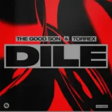 Обложка: The Good Son & TORREX - Dile