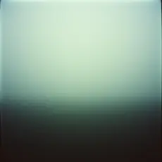 Обложка: Two Percent of Shit - Кем стал