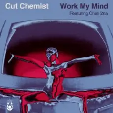 Обложка: Cut Chemist - Storm