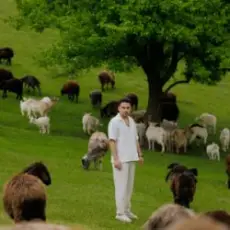 Обложка: ХАС - Дикий знову тут