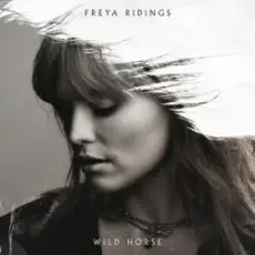 Обложка: Freya Ridings – Wild Horse
