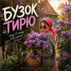 Обложка: MUF Modern Ukrainian Folk Project - Бузок Тирю