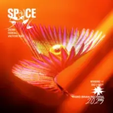 Обложка: Zerb & Odeal & Victor Ray - Space