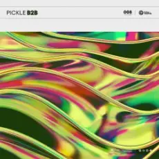 Обложка: Pickle - B2B