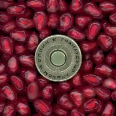 Обложка: Сплин - Весь этот бред