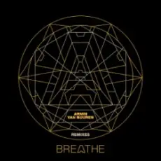 Обложка: Armin van Buuren & Gryffin - What Took You So Long (Yetti Remix)