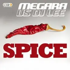 Обложка: Megara vs. DJ Lee - Spice (Single Edit)