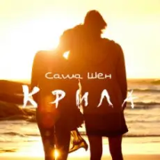 Обложка: Саша Шен - Крила