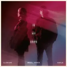 Обложка: ILLENIUM & HAYLA & Wooli - In My Arms (Wooli Remix)