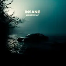 Обложка: Butch U - Insane