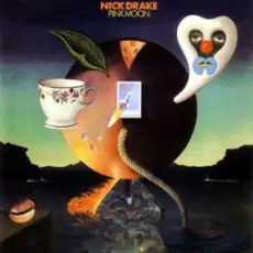 Обложка: Nick Drake - Place To Be