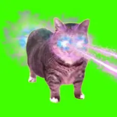 Обложка: XertXetin - OIIA OIIA COSMIC CAT (Sped Up)