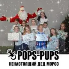 Обложка: Pops-Pups – Ненастоящий Дед Мороз