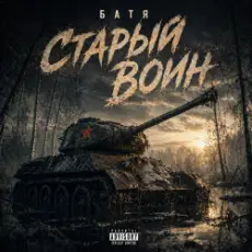 Обложка: Бвтя - Старый воин