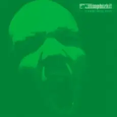 Обложка: Limp Bizkit - The Only One