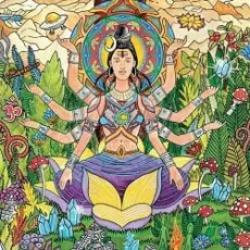 Обложка: Astrix - Deep Jungle Walk