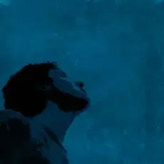 Обложка: Flegmatique - Пламенный закат